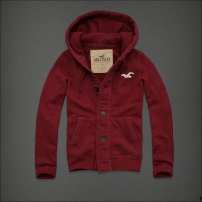 Hollister Men Hoodies-104